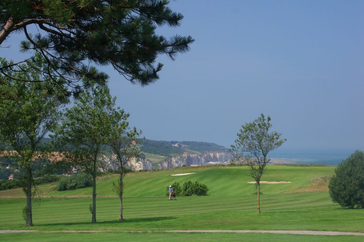 Frankrijk Noordfrankrijk Golfbaan Dieppe Golfer Fairway