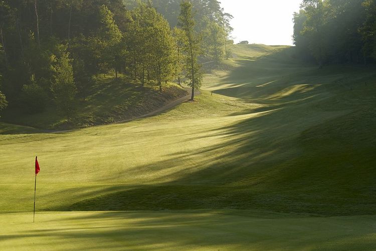 Golf De Durbuy Golfbaan Belgie Ardennen Green En Hole