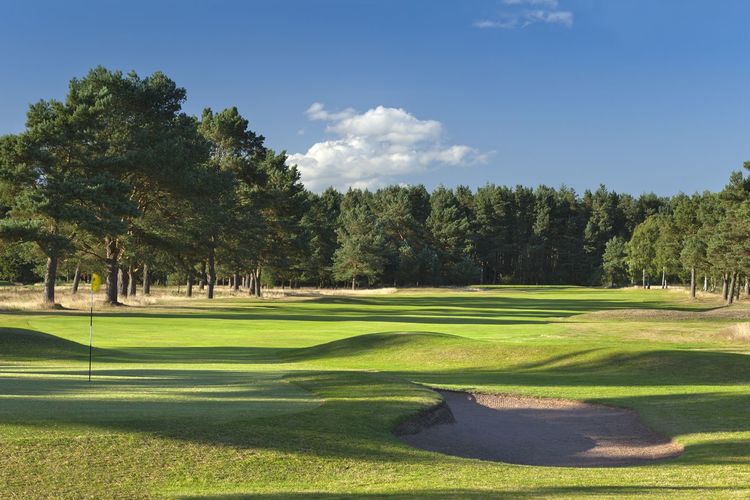 Ladybank Golf Schotland Standrews Bunker Green