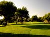 Capdepera Golf Mallorca Bomen Fairway