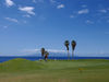 Costa Adeje Golf Tenerife Green Zee
