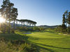 Erinvale Golf Club Zuid Afrika Golfsafari Green