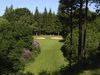 Frankrijk Noordfrankrijk Golfbaan Champdebataille Par3 Hole15.JPG