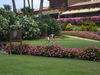 Las Americas Golf Tenerife Puttinggreen