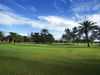 Maspalomas Golfbaan Grancanaria Green Palmbomen