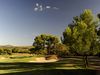 Puntiro Golf Mallorca Bomen Lucht