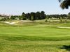 Royal_zoute_golf_club_executive_Golfbaan Belgie Golfreizen Green.jpeg