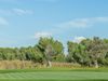 Santa Ponsa Golf Mallorca Green 10