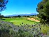 Son Gual Golf Mallorca Hole 15 5fd65845