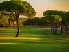 Spanje Andalusie Golf Bellavista Boom