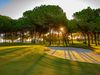 Spanje Andalusie Golf Bellavista Green