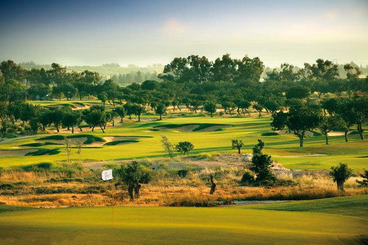 Elea Golfbaan Cyprus Paphos Green Fairway 2