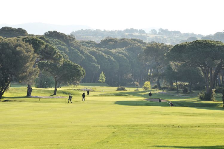 Frankrijk Cotedazur Golfbaan Golfdevalescure Fairway Green Pijnbomen