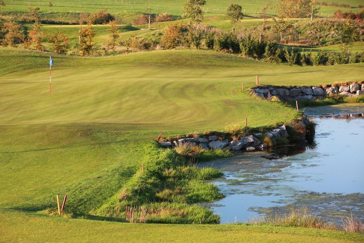 Henri Chapelle Green