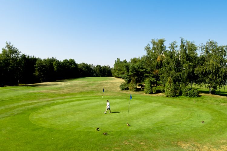 Keerbergen Golfbaan Belgie Vlaanderen Chipping Green.JPG