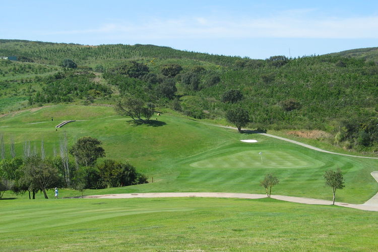 Parque Da Floresta Golf Portugal Algarve Green.JPG