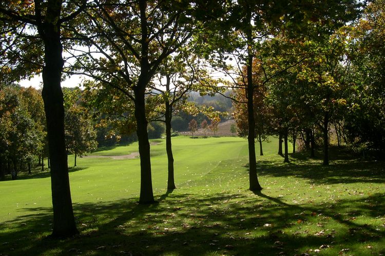 Winge Golf & Country Club | Bekijk Deze Golfbaan Op Golftime.nl