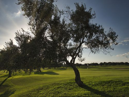 Hole 4 Olivier Course 3219ba9b