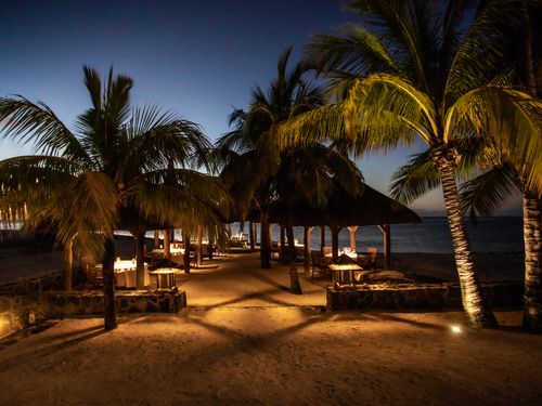 PARADIS HIRES_J0A3245.JPG