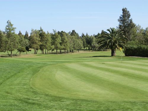 Alto Portugal Algarve Green Boom.JPG