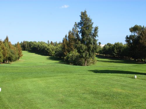 Alto Portugal Algarve Tee Bomen.JPG