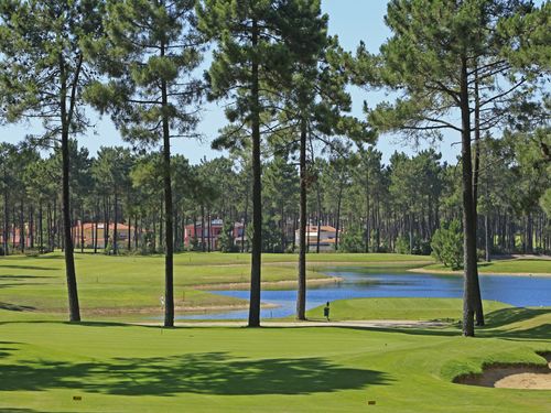 Aroeira 2 Golf Portugal Lissabon Bomen