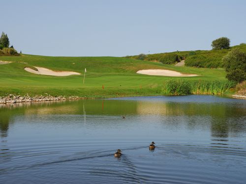 Belas Golf Portugal Lissabon Green Eenden.JPG