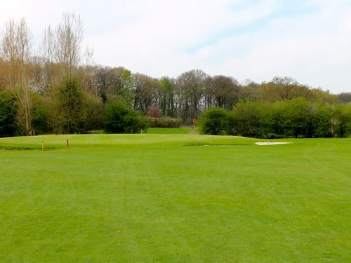 Borghees Golfbaan Duitsland Grensstreek Green 2.JPG