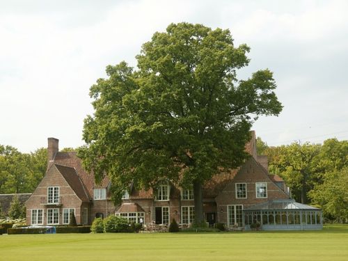 Bossenstein Belgie Vlaanderen Exterieur