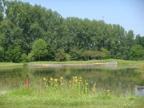 Bossenstein Belgie Vlaanderen Vijver 4741dc8b