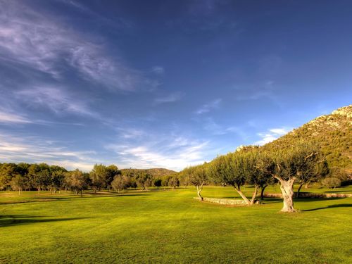 Canyamel Golf Mallorca Bomen