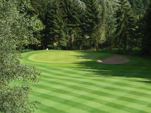 Eifel Golfbaan Duitsland Eifel Green Bomen.JPG