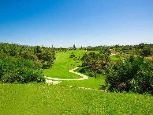 El Chaparral Golf Spanje Costa Del Sol Hole Bomen2