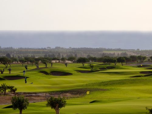 Elea Golfbaan Cyprus Paphos Fairways Green