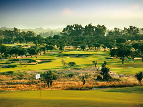Elea Golfbaan Cyprus Paphos Green Fairway 2