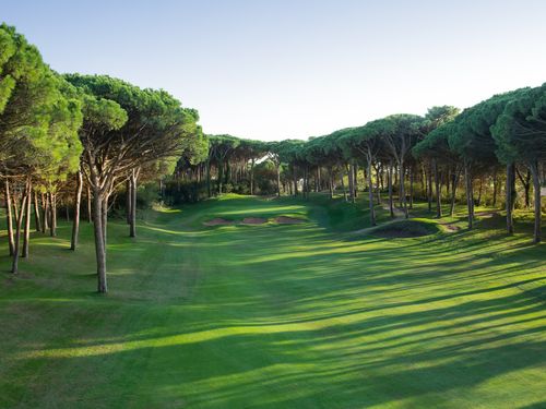 Emporda Forest 16 High Pm