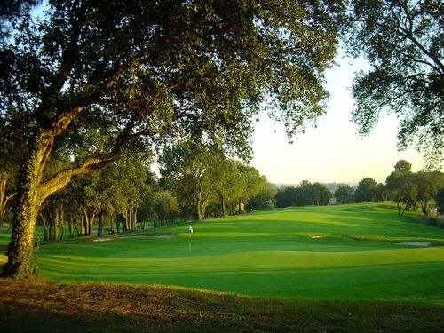 Girona Golf Spanje Costa Brava Green Bomen