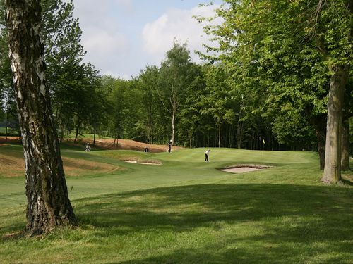 Hole05 Bomen