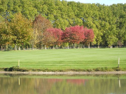 Kampenhout Golfbaan Belgie Vlaanderen Vijver