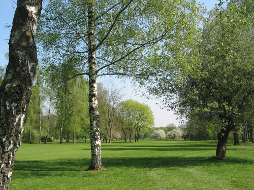Munster Wilkinghege Golfbaan Duitsland Grensstreek Bomen