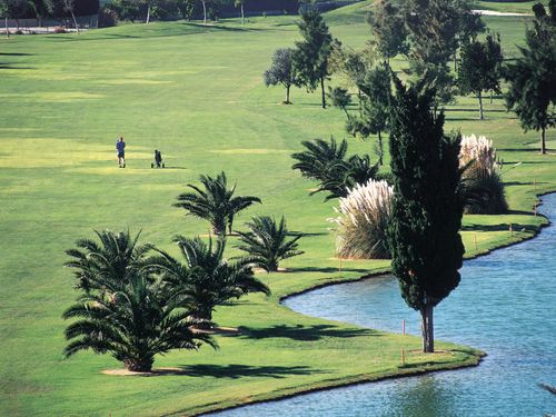 Oliva Nova Golf Spanje Costa Blanca Fairway.JPG