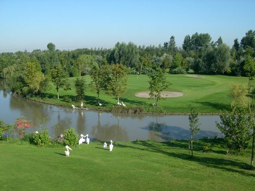 Oostburg Golfbaan Belgie Brugge Green Met Zwanen