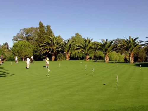 Penina Golf Academy Oefengreen Golfreizen