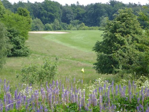 Rehburg Loccum Golfbaan Duitsland Midden Duitsland Vlag Bloemen