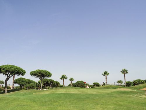 Sancti Petri Hills Golf Spanje Costa De La Luz Zuid Green