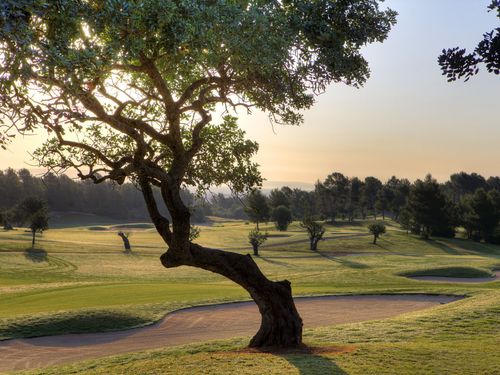 Son Vida Golf Mallorca Boom Bunker