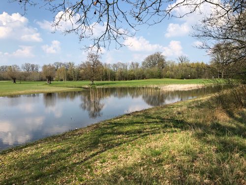 T Zelle Golf Nederland Drenthe Vijver.jpeg