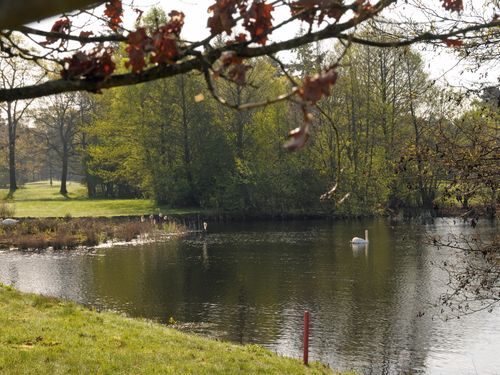 Twentsche Golf Nederland Twente Water.JPG