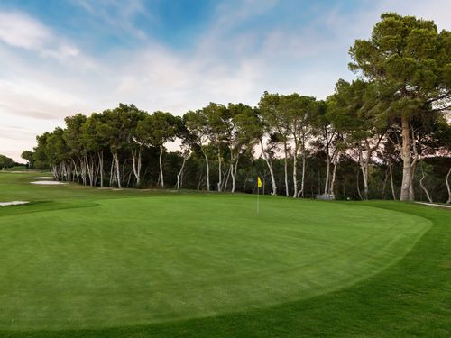 Villamartin Golf Spanje Costa Blanca Green 2