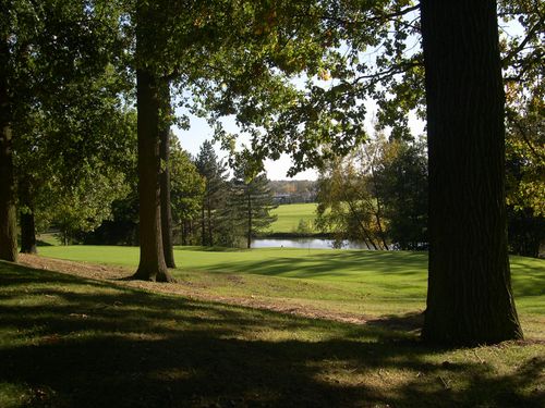 Winge Golf Golfbaan Belgie Vlaanderen Doorkijk Green.JPG